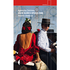 Gdzie słońce spędza zimę (e-book)