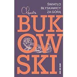 Światło błyskawicy za górą (e-book)