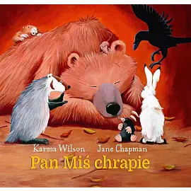 Pan miś chrapie