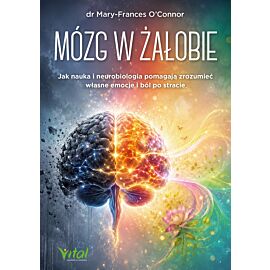 Mózg w żałobie. Jak nauka i neurobiologia pomagają zrozumieć własne emocje i ból po stracie