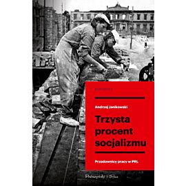 Trzysta procent socjalizmu (e-book)