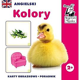 Angielski. Kolory. Karty obrazkowe + poradnik. Kapitan Nauka
