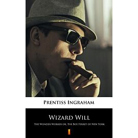 Wizard Will (e-book)