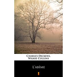 L’abîme (e-book)