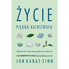 Życie piękna katastrofa wyd. 4