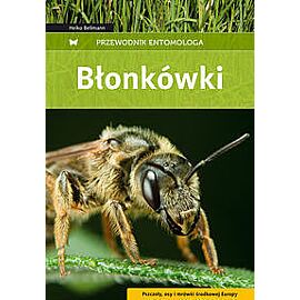 Błonkówki