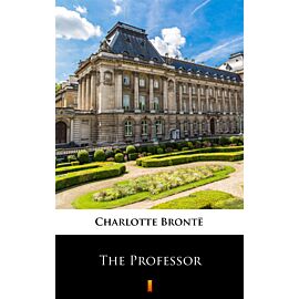 The Professor (e-book)