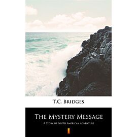 The Mystery Message (e-book)