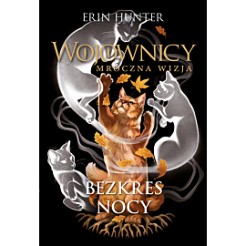 Bezkres nocy (e-book)