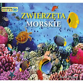 Zwierzęta morskie Poznajemy zwierzęta