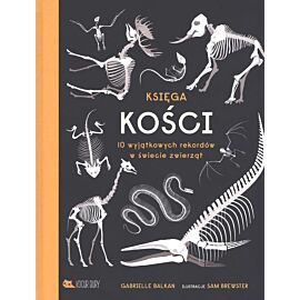 Księga kości