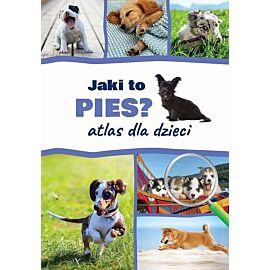 Jaki to pies? Atlas dla dzieci