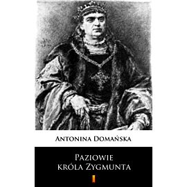 Paziowie króla Zygmunta (e-book)