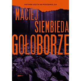Gołoborze (e-book)