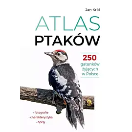 Atlas ptaków 250 gatunków żyjących w Polsce