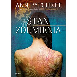 Stan zdumienia