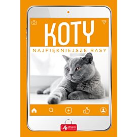 Koty. Najpiękniejsze rasy