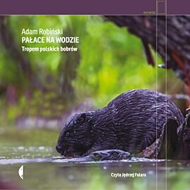 Pałace na wodzie (audiobook MP3)
