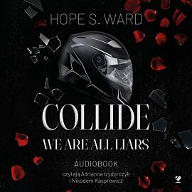 Collide. We Are All Liars (audiobook MP3)