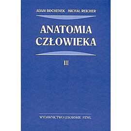 Anatomia człowieka