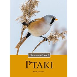 Ptaki Fauna Polski