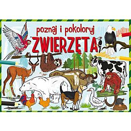 Poznaj i pokoloruj zwierzęta