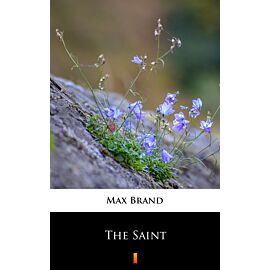 The Saint (e-book)