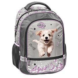Plecak 2-komorowy Hello Puppie PP26SZ-260