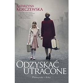 Odzyskać utracone (e-book)