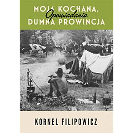Moja kochana, dumna prowincja