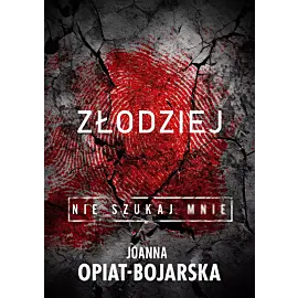 Złodziej. Nie szukaj mnie. Tom 1