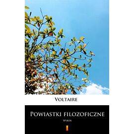 Powiastki filozoficzne (e-book)