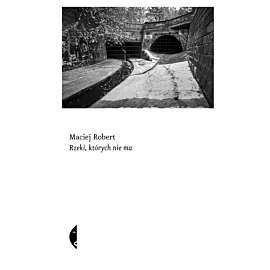 Rzeki, których nie ma (e-book)