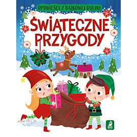 Świąteczne przygody. Opowieści z bajkowej doliny