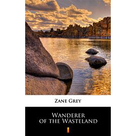 Wanderer of the Wasteland (e-book)