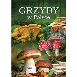 Grzyby w Polsce