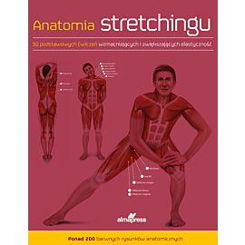 Anatomia stretchingu
