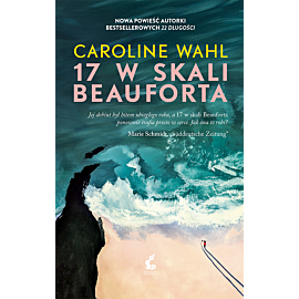 17 w skali Beauforta
