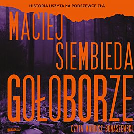 Gołoborze (audiobook MP3)