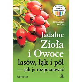 Jadalne zioła i owoce lasów, łąk i pól – jak je rozpoznawać