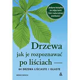 Drzewa – jak je rozpoznawać po liściach