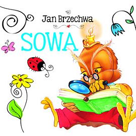 Sowa. Biblioteczka niedźwiadka