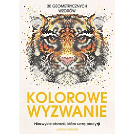 Kolorowe wyzwanie. Niezwykłe obrazki, które uczą precyzji