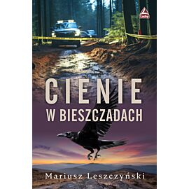 Cienie w Bieszczadach