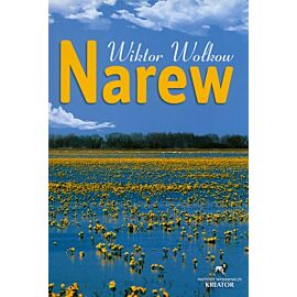 Narew