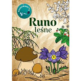Runo leśne. Kolorowanka