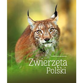 Zwierzęta Polski