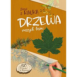 Ptaki naszych lasów