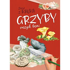 Grzyby naszych lasów