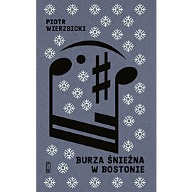 Burza śnieżna w Bostonie